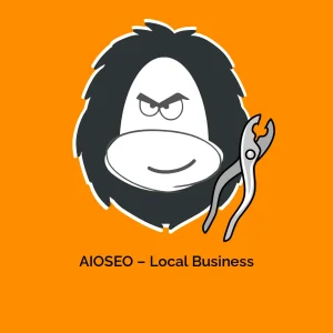 AIOSEO – Local Business