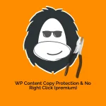 WP Content Copy Protection & No Right Click (premium)